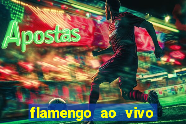 flamengo ao vivo hd play